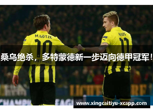 桑乌绝杀，多特蒙德新一步迈向德甲冠军！